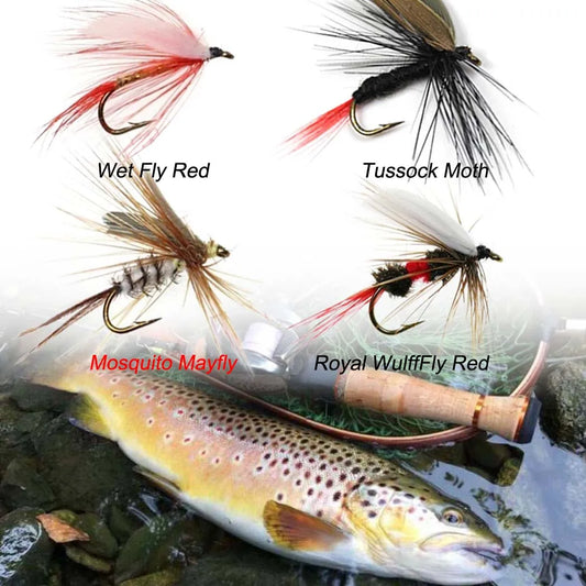 12pcs Dry / Wet Flies #10