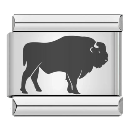 BISON