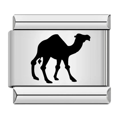 DROMEDARY